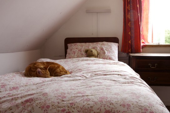 And more (furry) cuddles